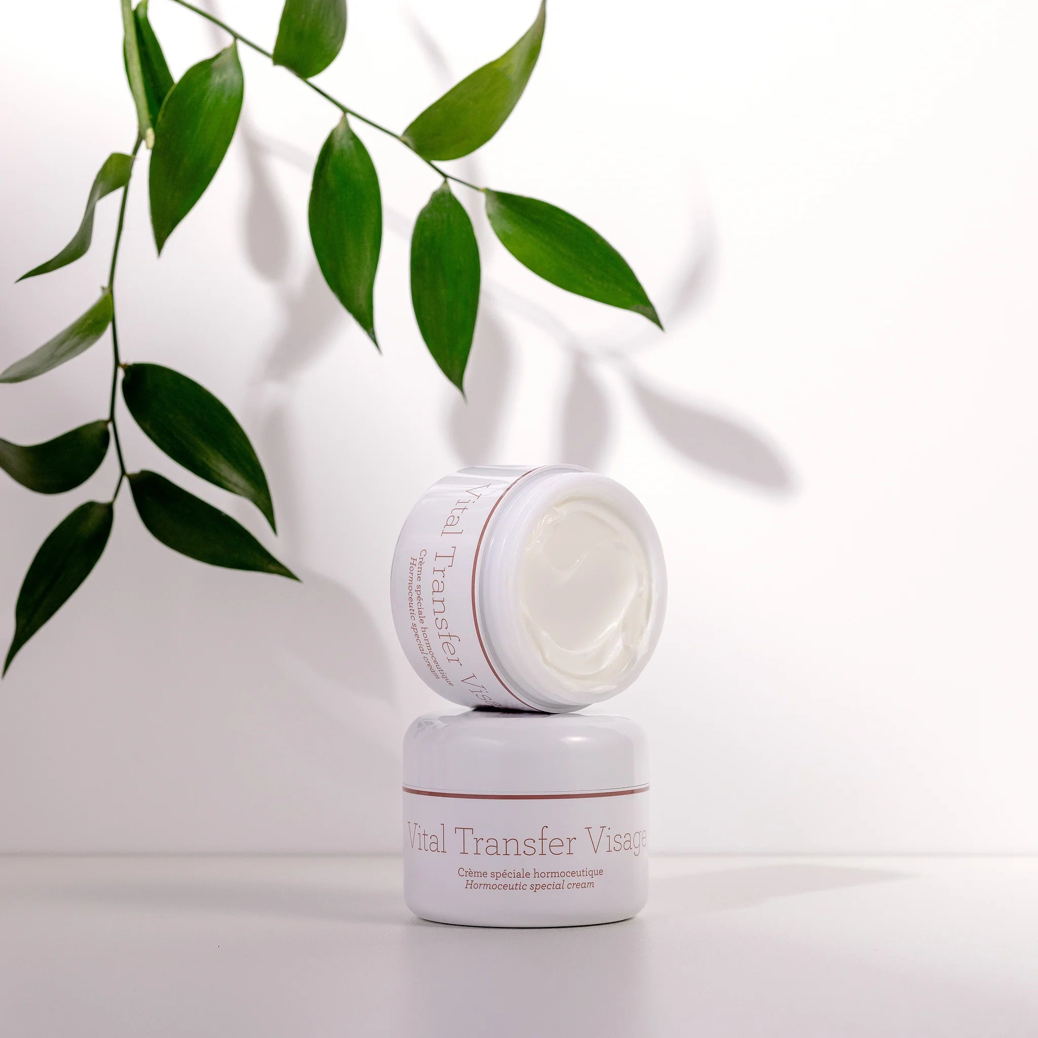 Gernetic Vital Transfer Visage